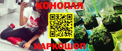 apvp Ставрополь