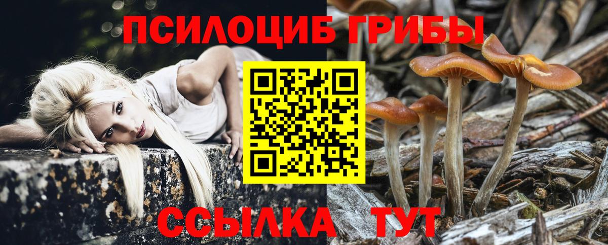 Галлюциногенные грибы Magic Shrooms Нефтеюганск